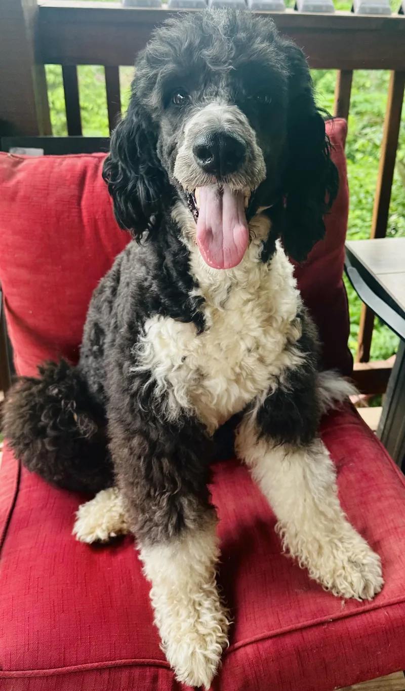 Milo