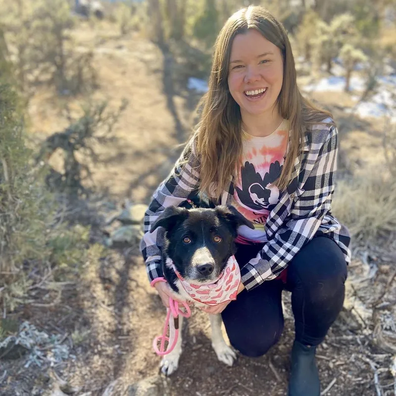 An adult medium-sized female Border Collie dog named Emme Lou for adoption in Glenwood Springs, CO
