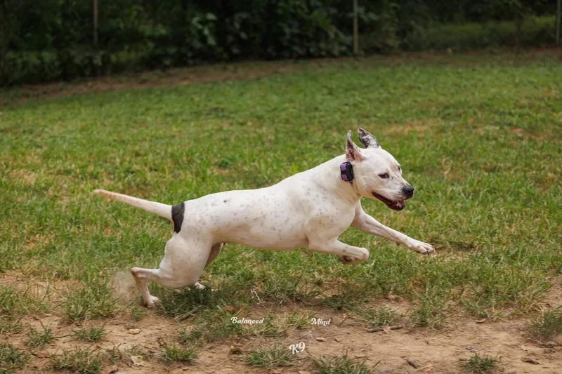 Valentina thumbnail 2