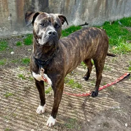 Mocha Fka Cindy thumbnail 3