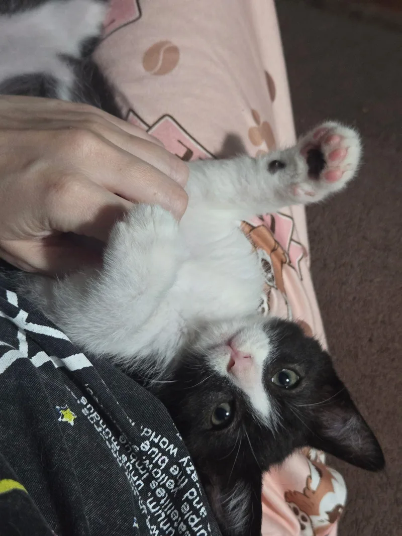Quest thumbnail 2