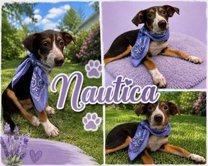 Nautica