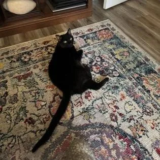 Mariah Catrey thumbnail 2