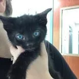 Mariah Catrey thumbnail 3