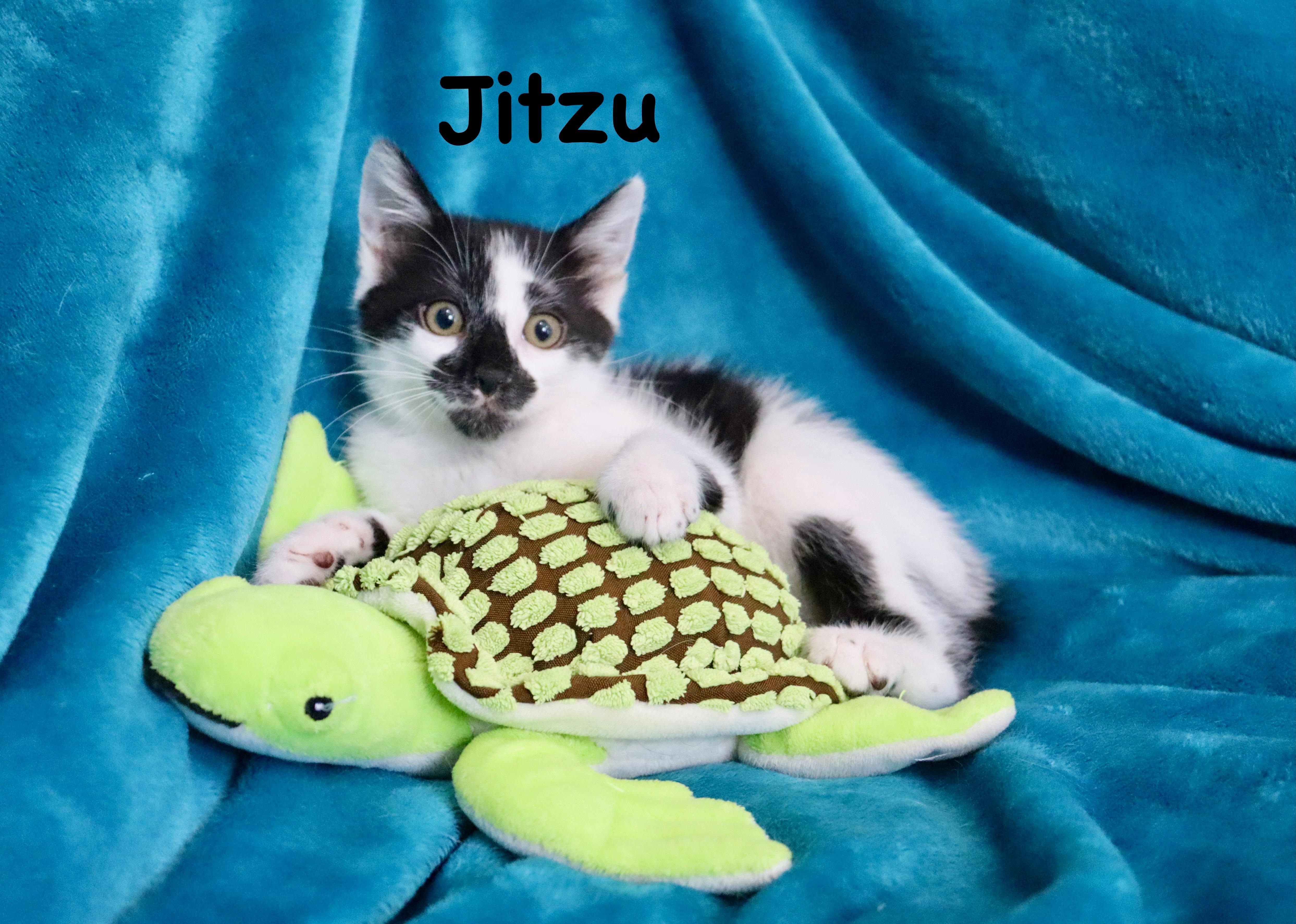 Jitsu thumbnail 4