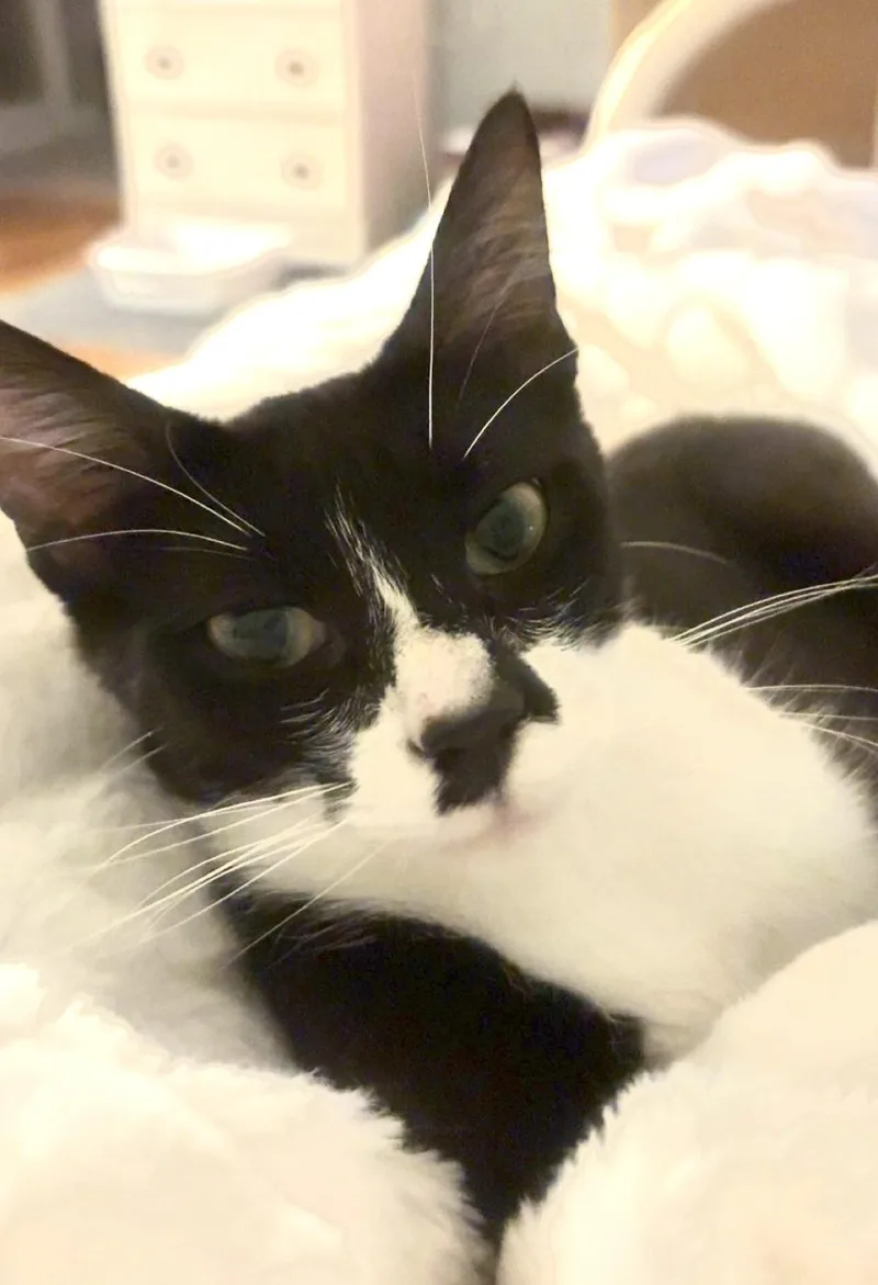 Missy thumbnail 3