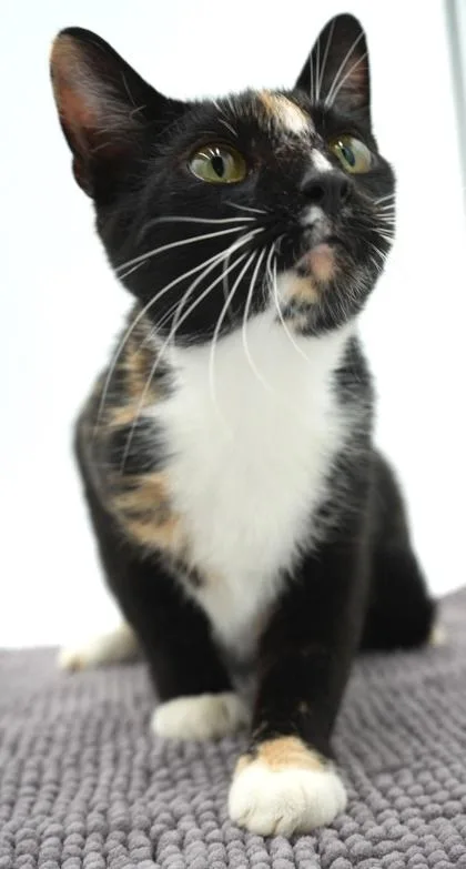 Marcy thumbnail 3