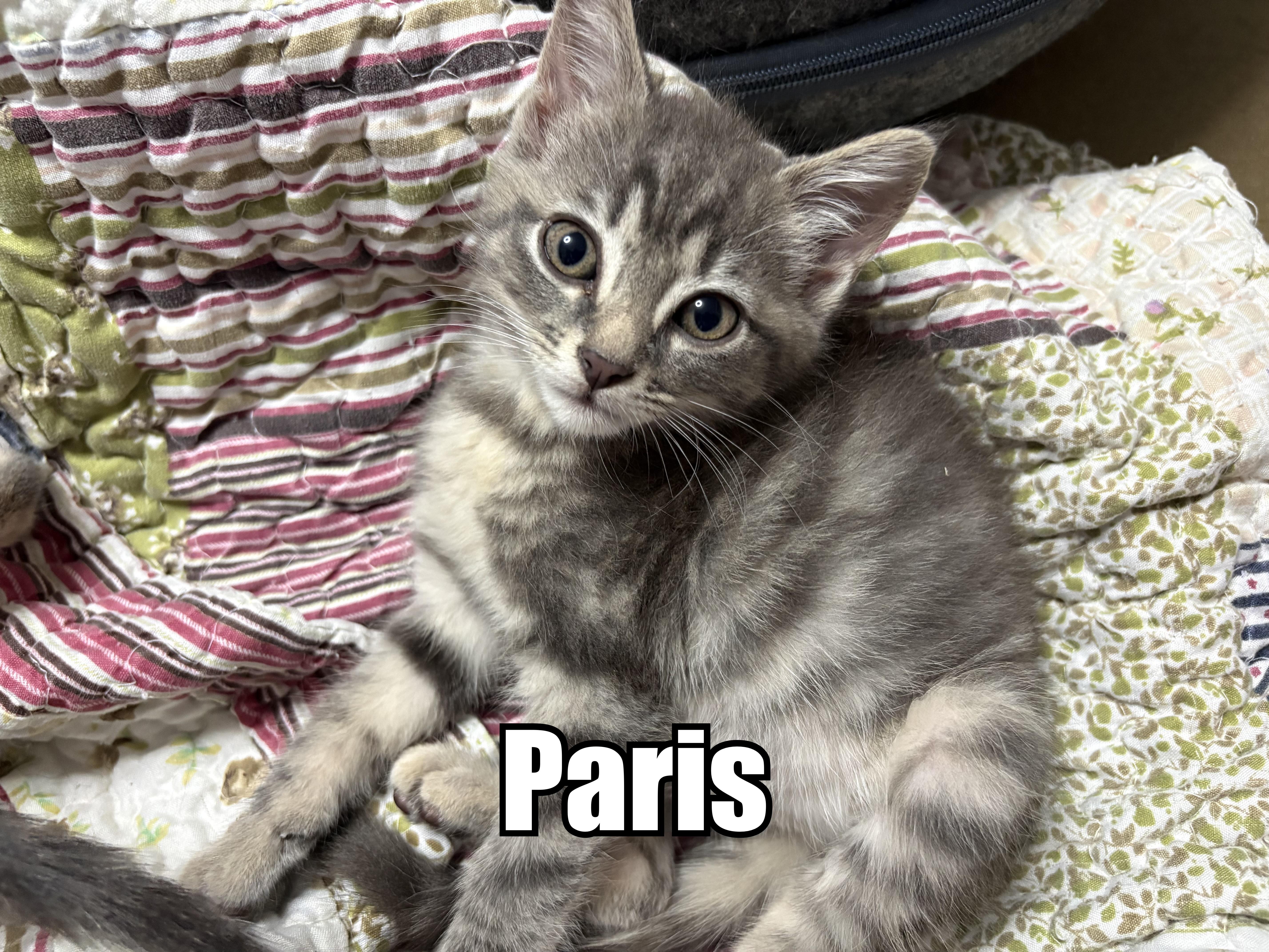 Paris thumbnail 2