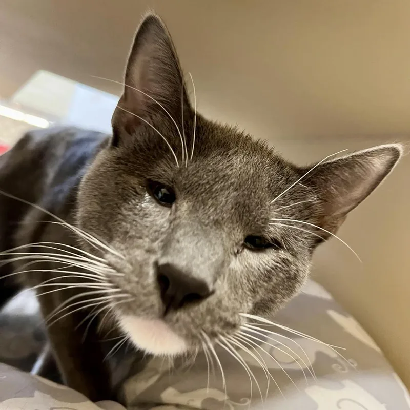 Peter Brady thumbnail 2