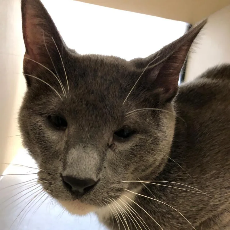 Peter Brady thumbnail 4