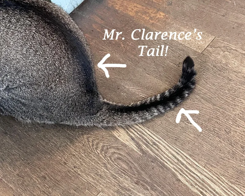 Mr. Clarence thumbnail 3