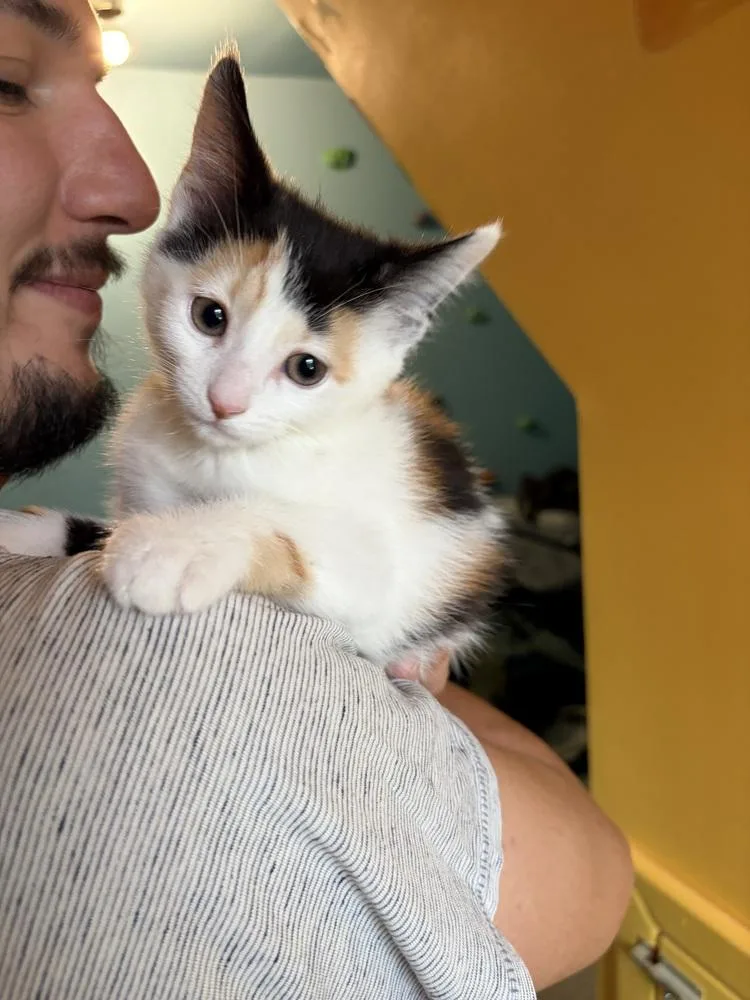 Pepa