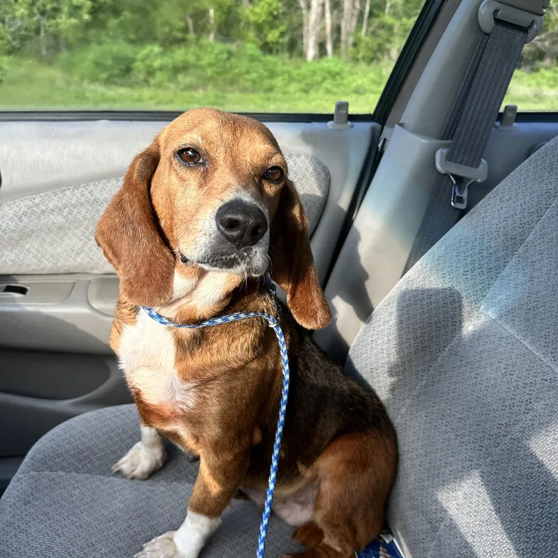 Dolly Pawton thumbnail 2