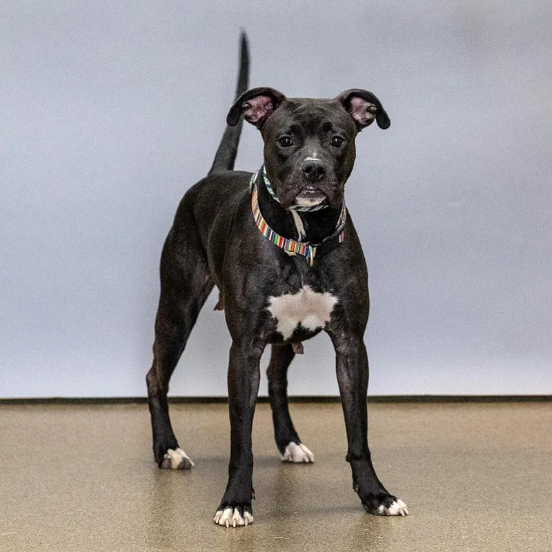 Baby Girl thumbnail 2