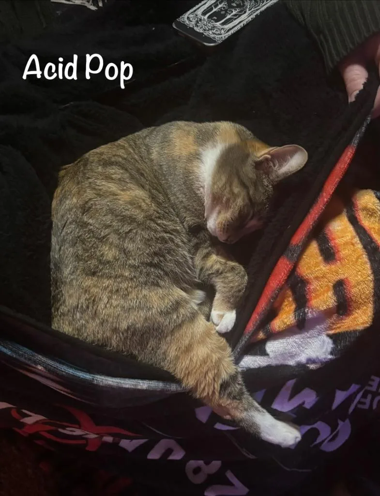 Acid Pop thumbnail 5