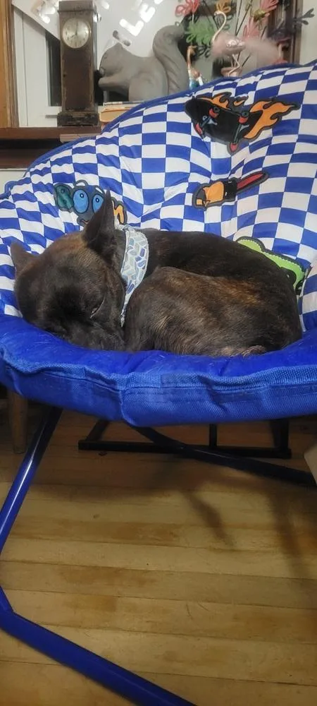 Buckley Mcgeeasheville  Nc thumbnail 2