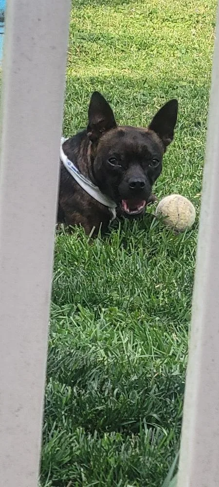 Buckley Mcgeeasheville  Nc thumbnail 3