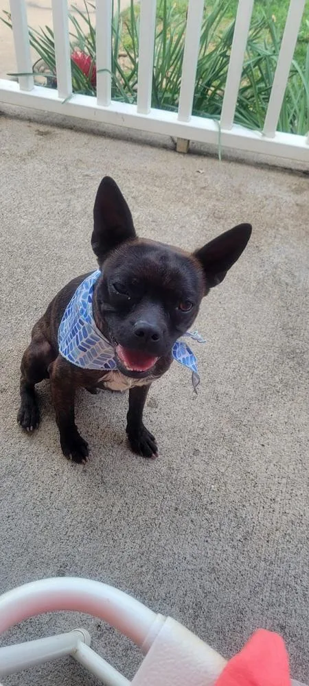 Buckley Mcgeeasheville  Nc thumbnail 5