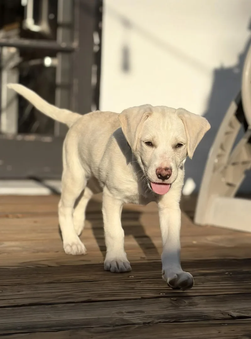 Jolene thumbnail 3