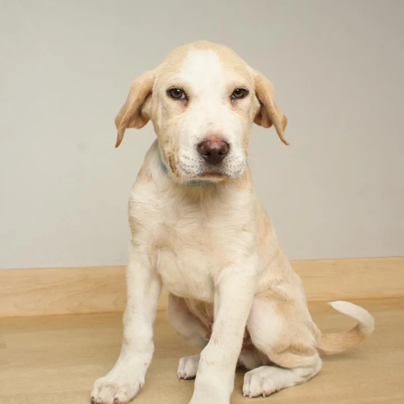 Jasper D thumbnail 2