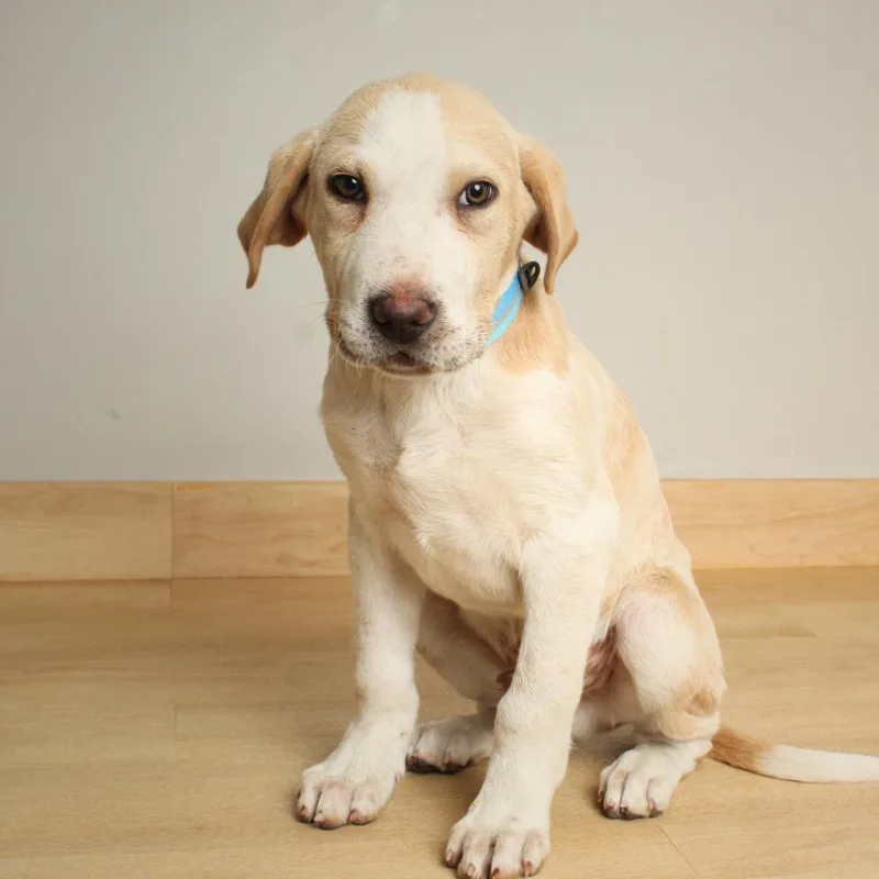 Jasper D thumbnail 3