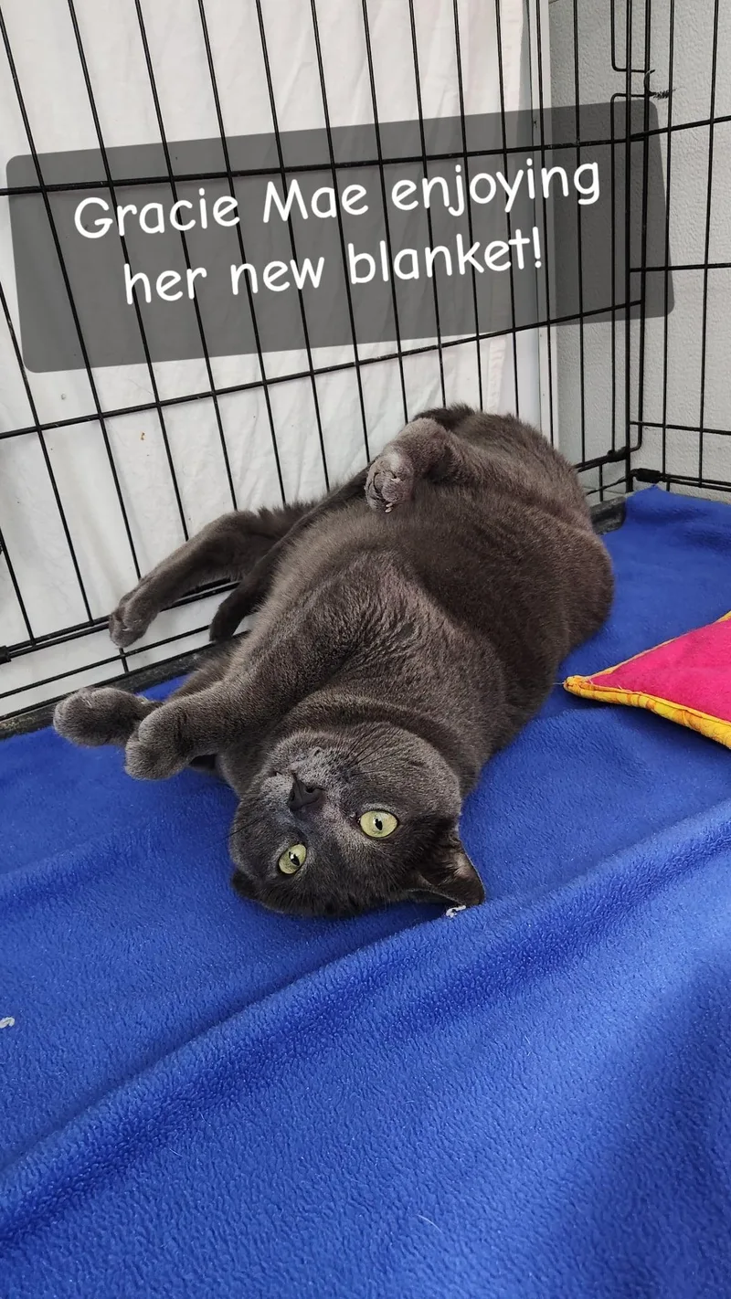 Gracie Mae thumbnail 2