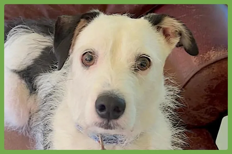 Danny thumbnail 2