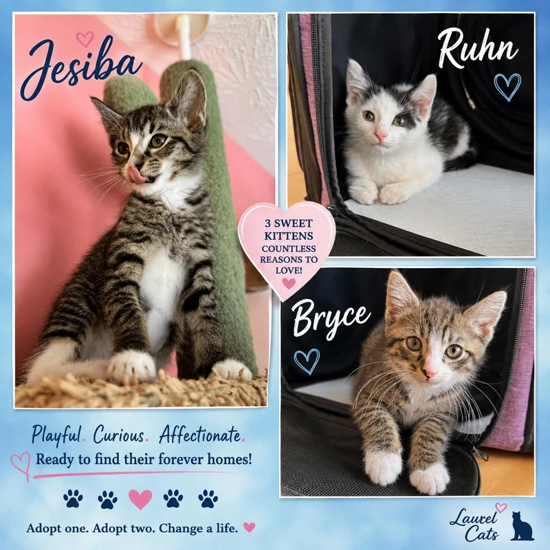 Jesiba  Ruhn  thumbnail 2