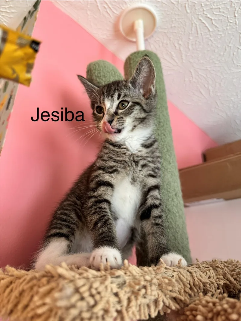 Jesiba  Ruhn  thumbnail 3
