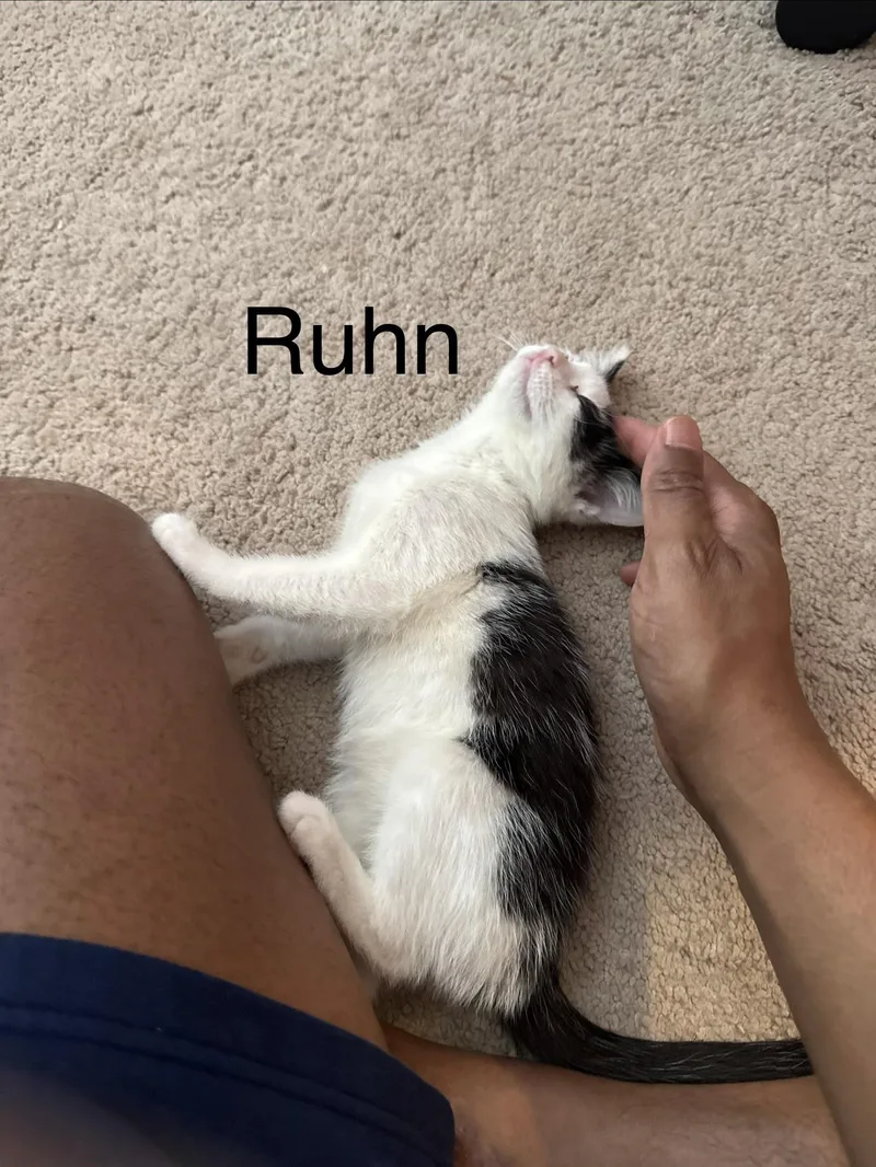 Jesiba  Ruhn  thumbnail 6