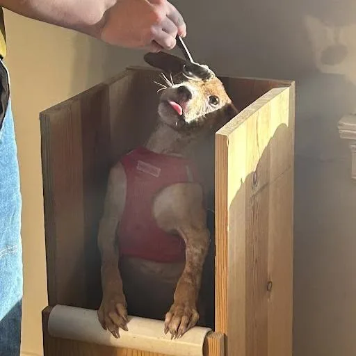 Nesquick thumbnail 3