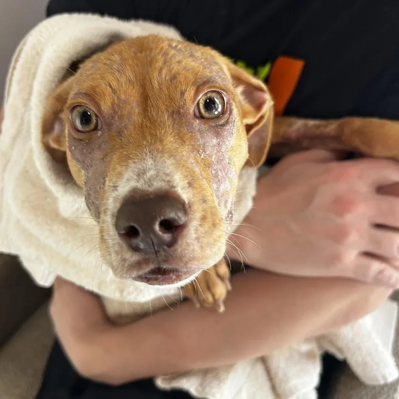 Nesquick thumbnail 5