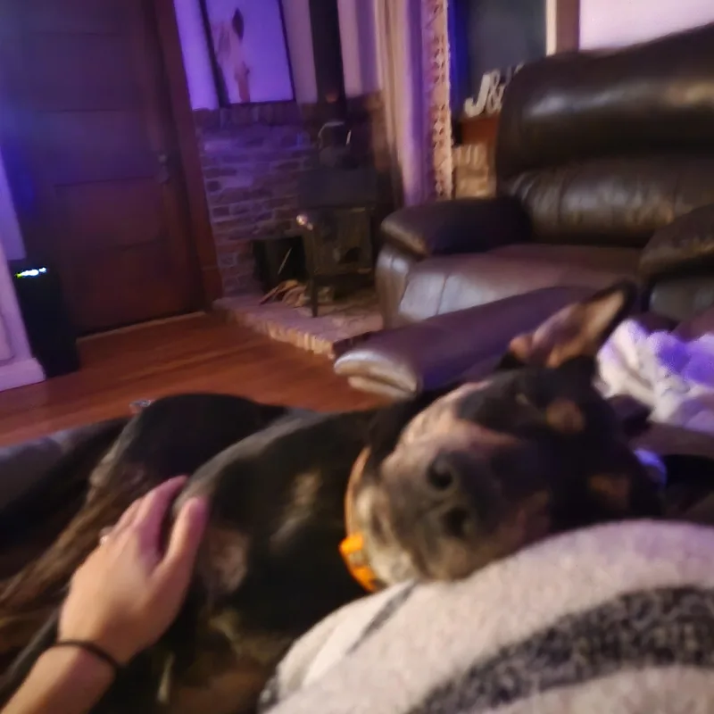 Boone thumbnail 6