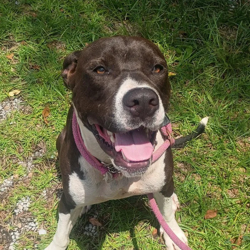 Cosmo Hope Lower