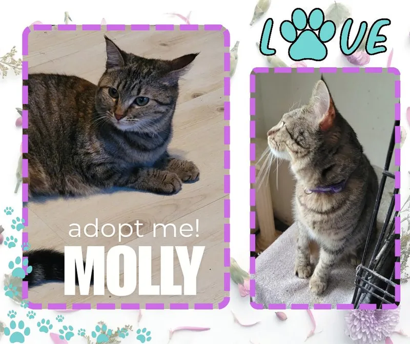 Molly