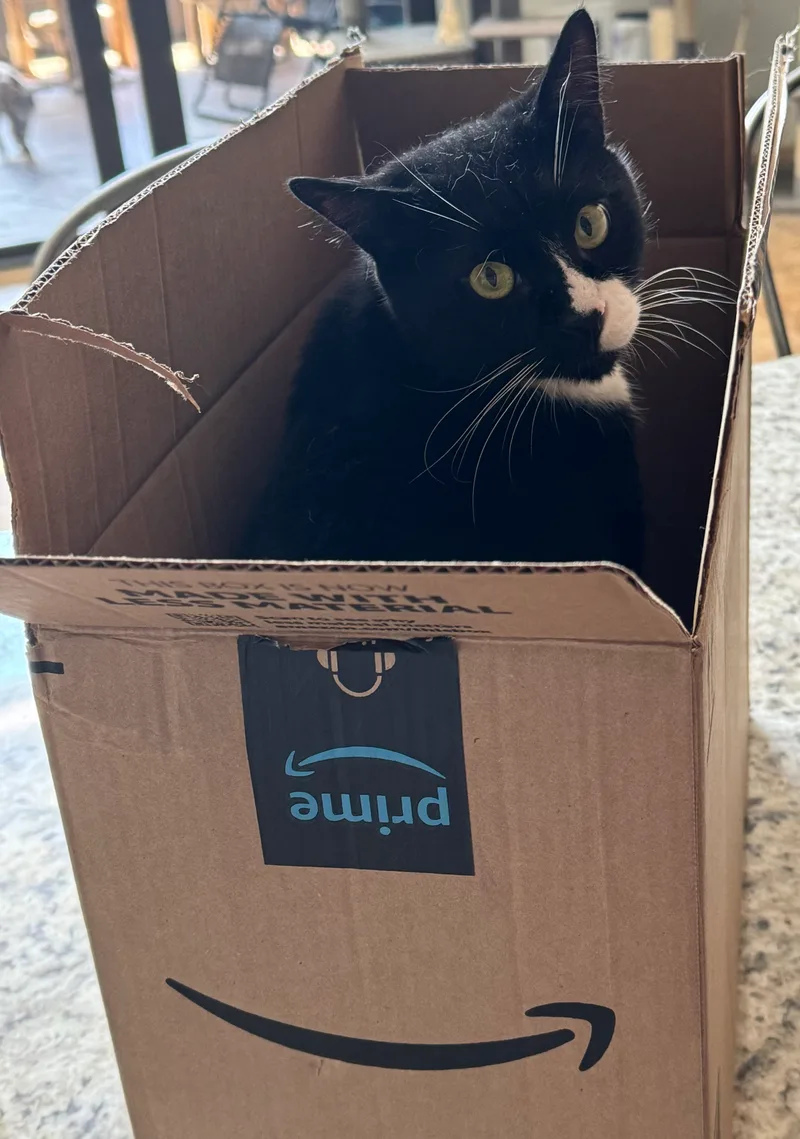 Sushi Noodles thumbnail 2