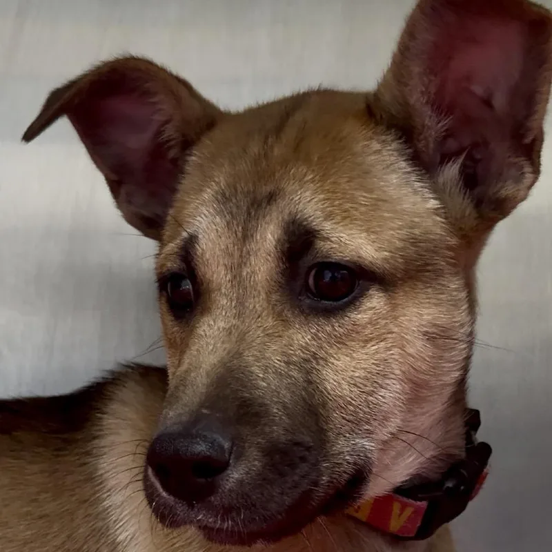 Dacre Fc thumbnail 2