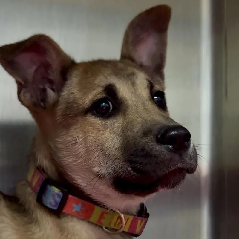 Dacre Fc thumbnail 5