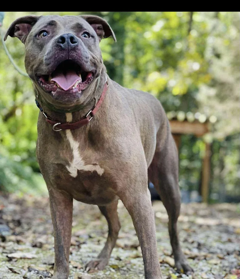 Beetlejuice thumbnail 3