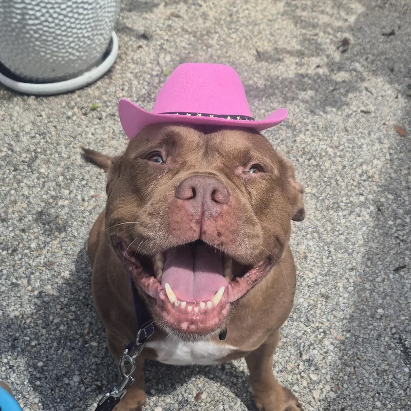 Coco