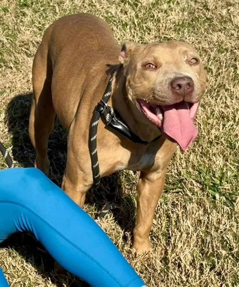 Emily The Effervescent thumbnail 2