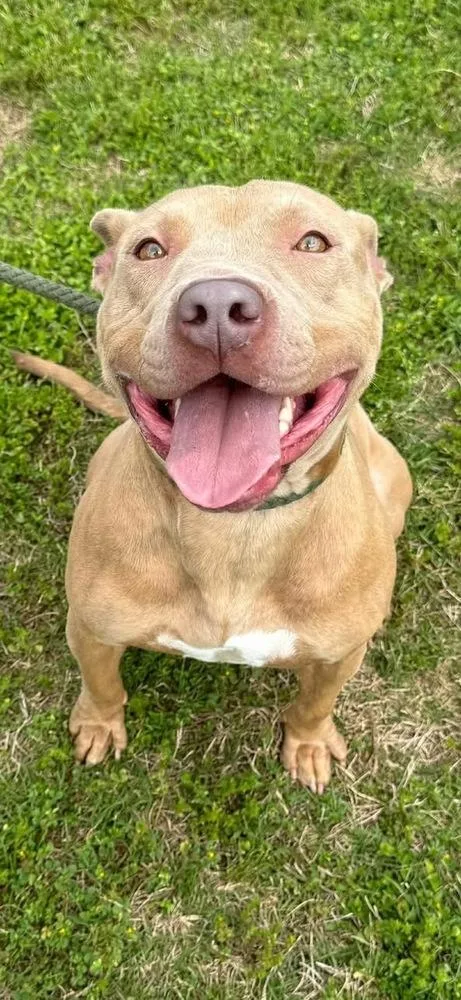 Emily The Effervescent thumbnail 6