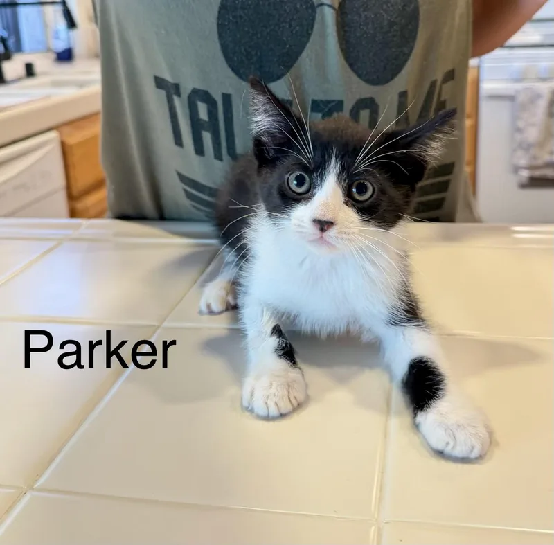 Parker