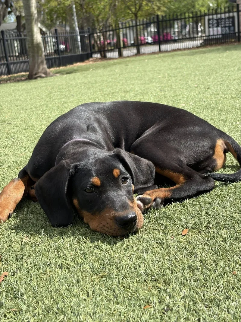 Sleepy