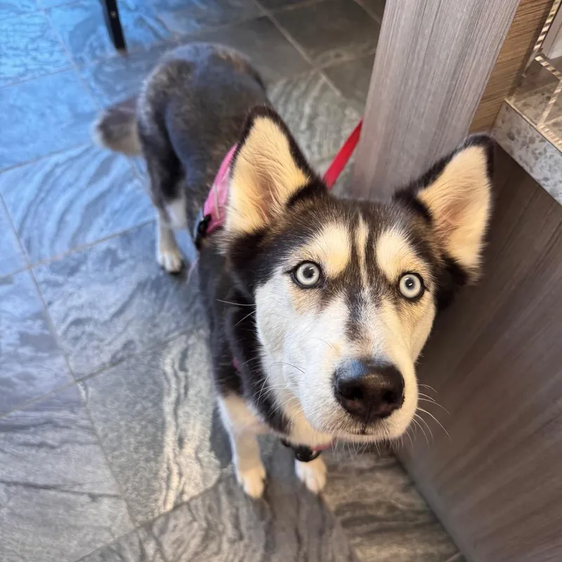 Luna