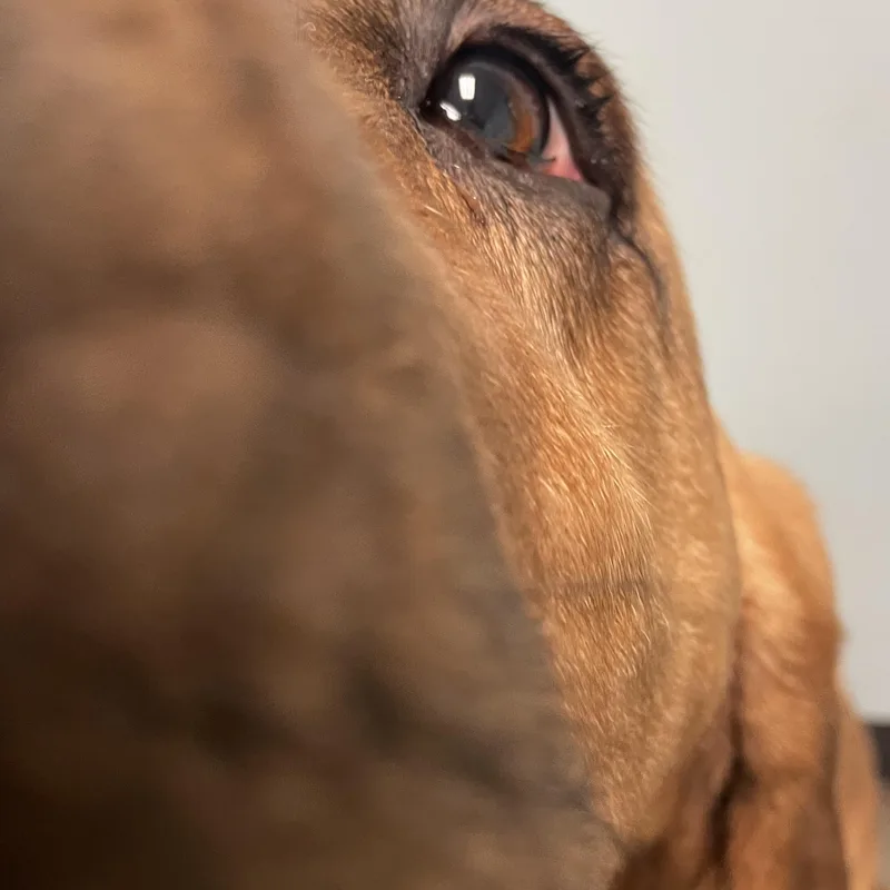 Maggie thumbnail 5