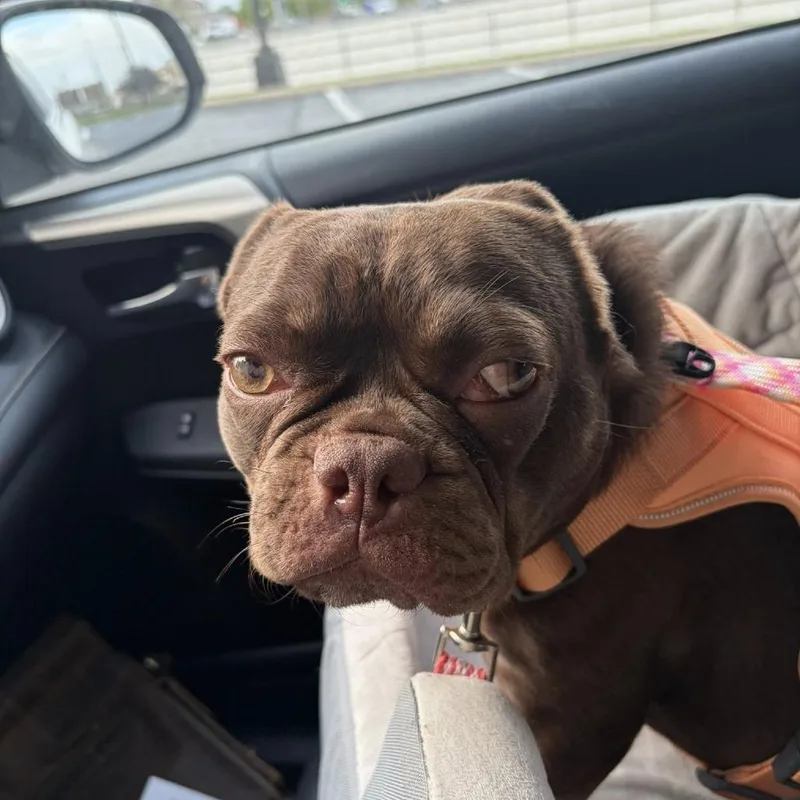 Ruby