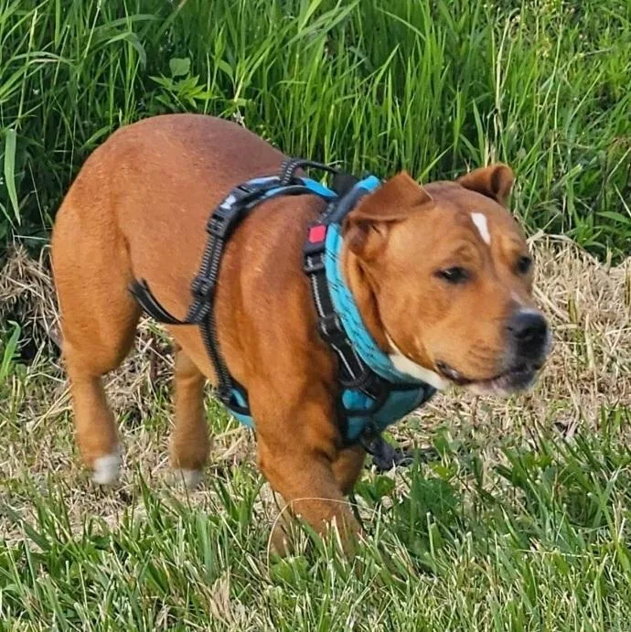 Manchester thumbnail 2