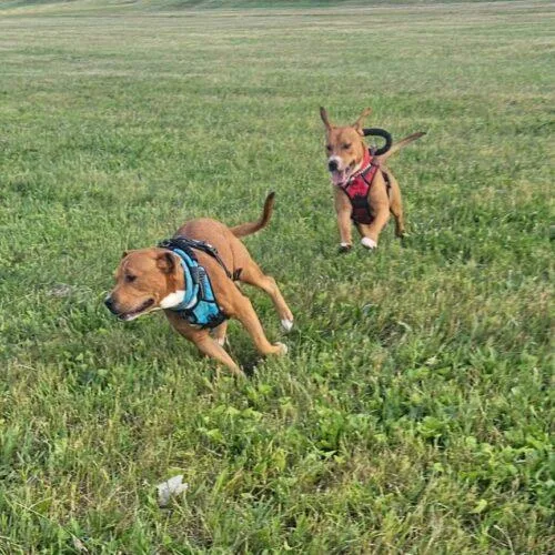 Manchester thumbnail 6