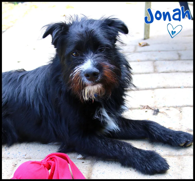 Jonah thumbnail 3